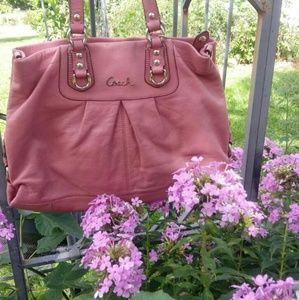Coach Ashley Carryall Handbag